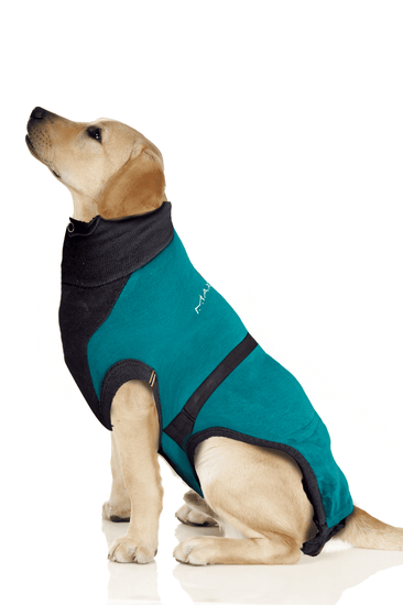 ⭐️Purr. Meow. Woof.⭐️ - MAXX Medical Pet Care Clothing For Dogs - M+ / SeaGreen