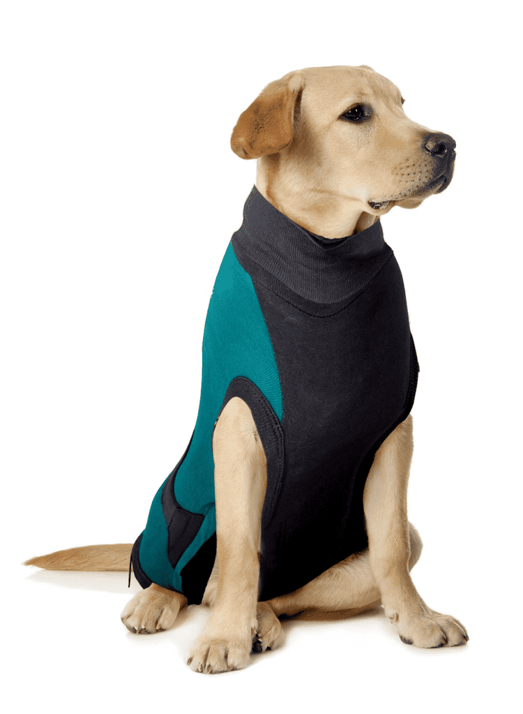 ⭐️Purr. Meow. Woof.⭐️ - MAXX Medical Pet Care Clothing For Dogs - M / SeaGreen