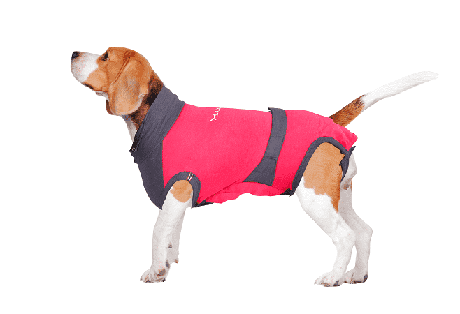 ⭐️Purr. Meow. Woof.⭐️ - MAXX Medical Pet Care Clothing For Dogs - S+ / Firebrick