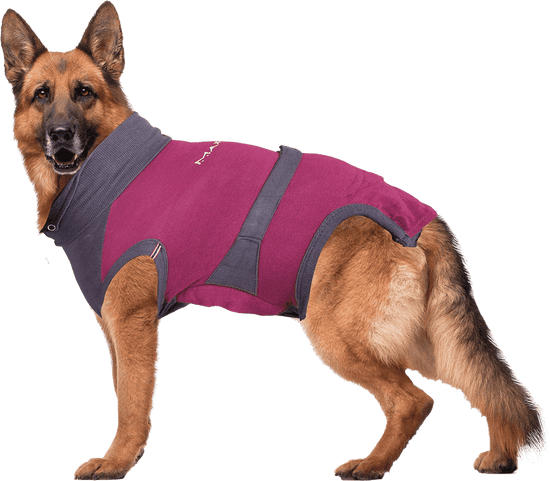 ⭐️Purr. Meow. Woof.⭐️ - MAXX Medical Pet Care Clothing For Dogs - XL / Firebrick