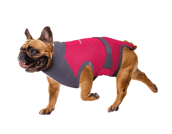 ⭐️Purr. Meow. Woof.⭐️ - MAXX Medical Pet Care Clothing For Dogs - XS / Firebrick
