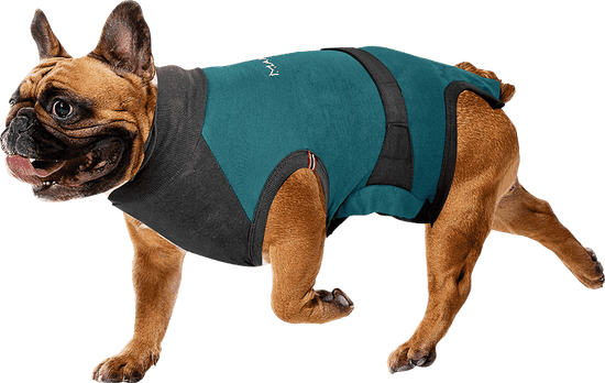 ⭐️Purr. Meow. Woof.⭐️ - MAXX Medical Pet Care Clothing For Dogs - XS / SeaGreen
