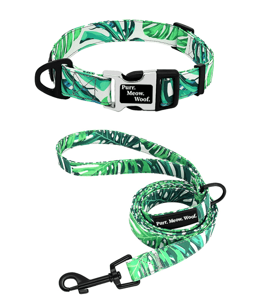 ⭐️Purr. Meow. Woof.⭐️ - Monstera Dog Collar - S / Yes!