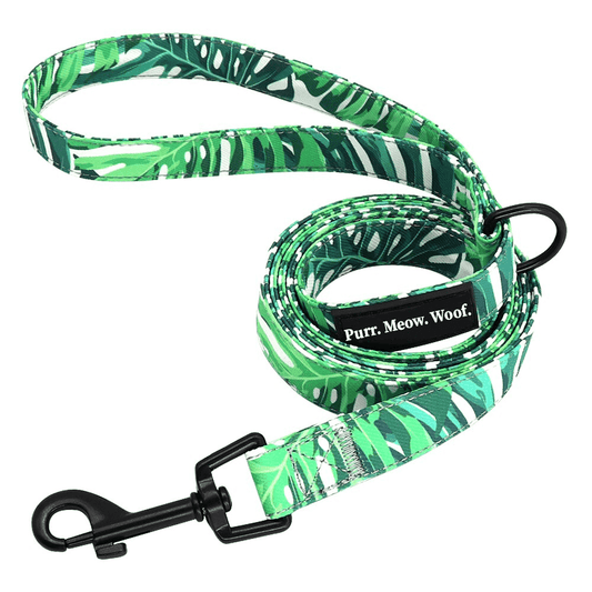 ⭐️Purr. Meow. Woof.⭐️ - Monstera Dog Lead - Default Title