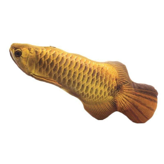 ⭐️Purr. Meow. Woof.⭐️ - Plush 3D Fish Kicker - Arowana