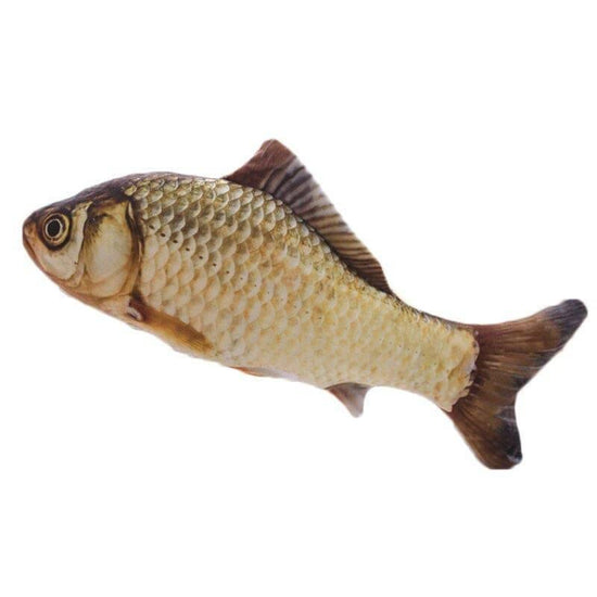 ⭐️Purr. Meow. Woof.⭐️ - Plush 3D Fish Kicker - Carp