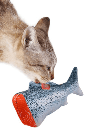 ⭐️Purr. Meow. Woof.⭐️ - Plush 3D Fish Kicker - Salmon Tail