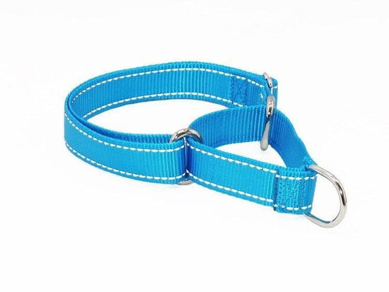 ⭐️Purr. Meow. Woof.⭐️ - PMW Basics Martingale Dog Collar - DodgerBlue / S