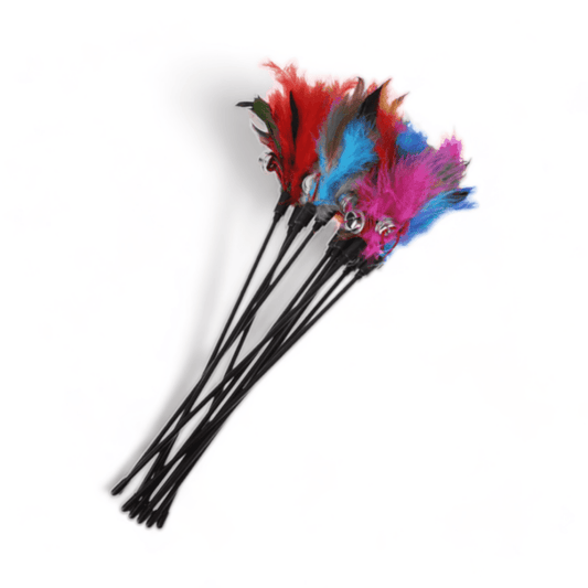 ⭐️Purr. Meow. Woof.⭐️ - Short Feather Wand Cat Toy - Rainbow