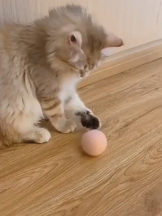 Fluffy Catnip Sound Ball Cat Toy